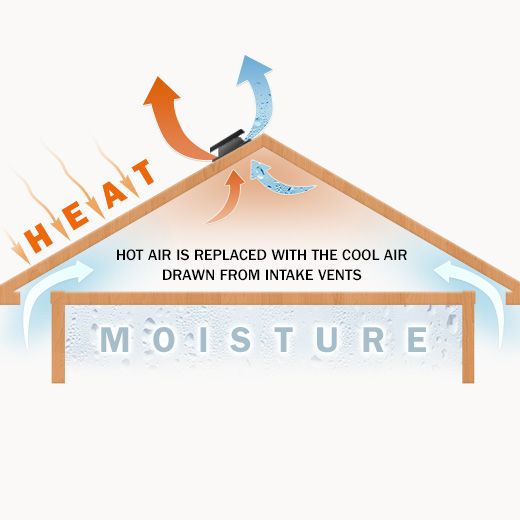 Belmont Ceiling Fan Electricians